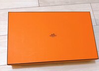 平野ノラ『用意されているHERMES』