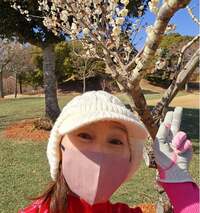 モト冬樹『妻の大失敗』