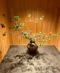 市川海老蔵『水菓子をと』