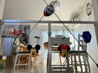 大渕愛子『長男に褒められた飾り付け』