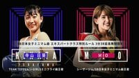 SHOOT BOXING 2019 - 2.11 SHOOT BOXING - 第8試合 SB日本女子ミニマム級(48.0kg) エキスパートクラス特別ルール 3分3R延長無制限R MIO vs 寺山