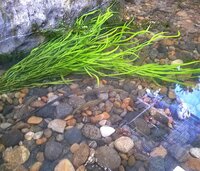 鈴木亮平『大河ドラマのセットって』