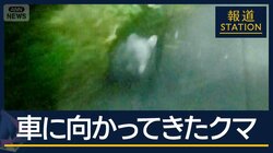 政府『クマ対策パッケージ』発表も…秋田市民に広がる“警戒疲れ”
