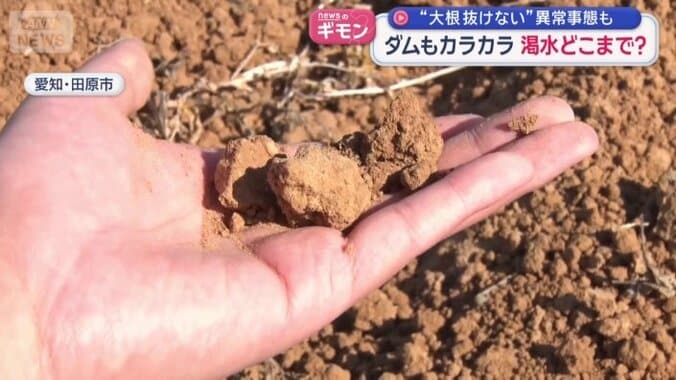 乾燥して固くなった畑の土