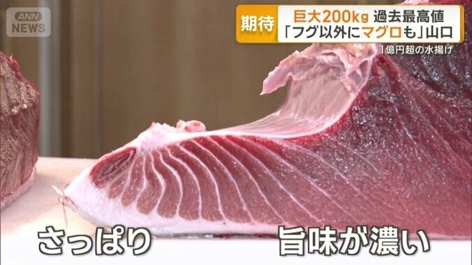 うま味が濃くさっぱりした夏のマグロ