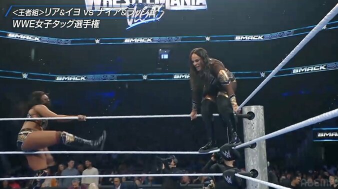 観客を煽るナイア