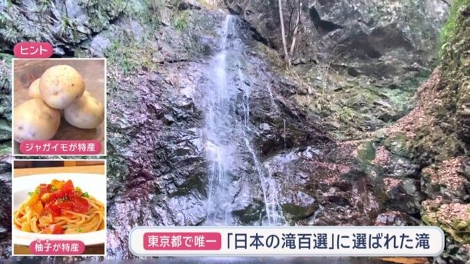 「日本の滝百選」に選ばれた東京都で唯一の滝