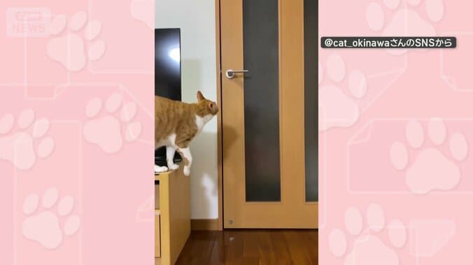 ドアを見つめる