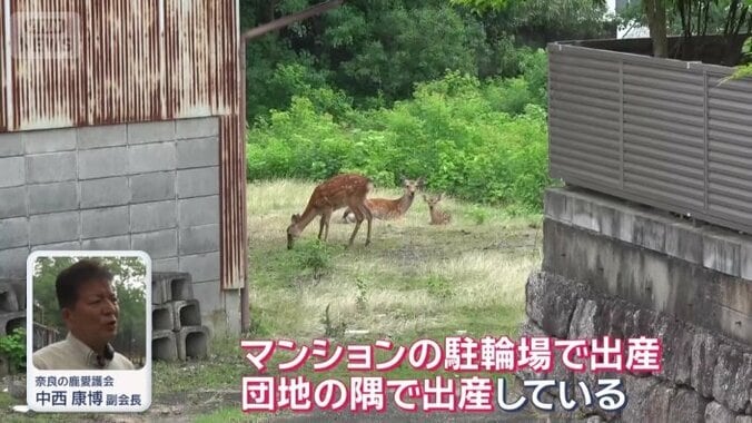 こんな事態も…