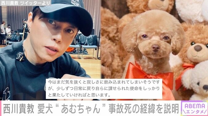 西川貴教、愛犬の事故死の経緯を説明「西川さんの悲しみを考えても胸が痛い」「1番辛いご報告」とファンからは心配の声 1枚目