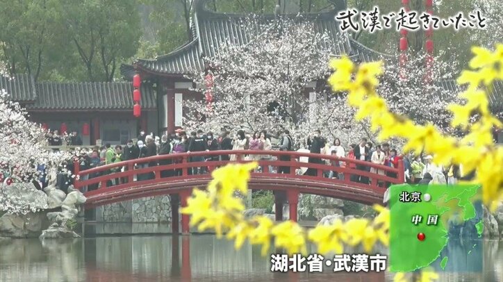 SNSの凍結、尾行、盗聴も…新型コロナウイルス対策に疑いの目を向ける武漢市民に当局の容赦ない圧力