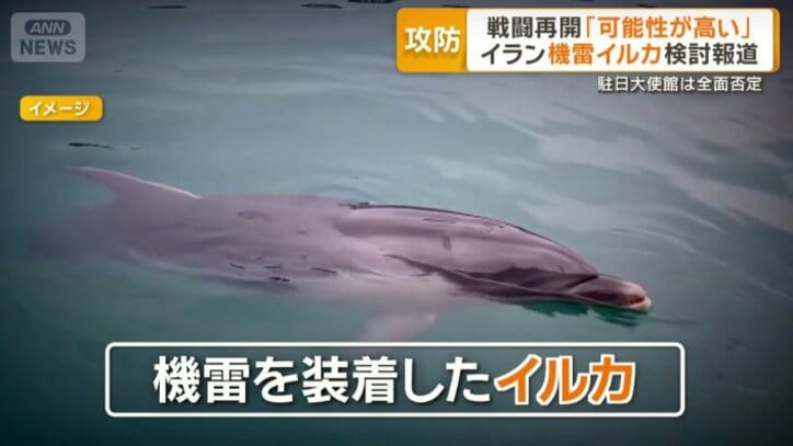 「イランが機雷イルカ検討」米報道