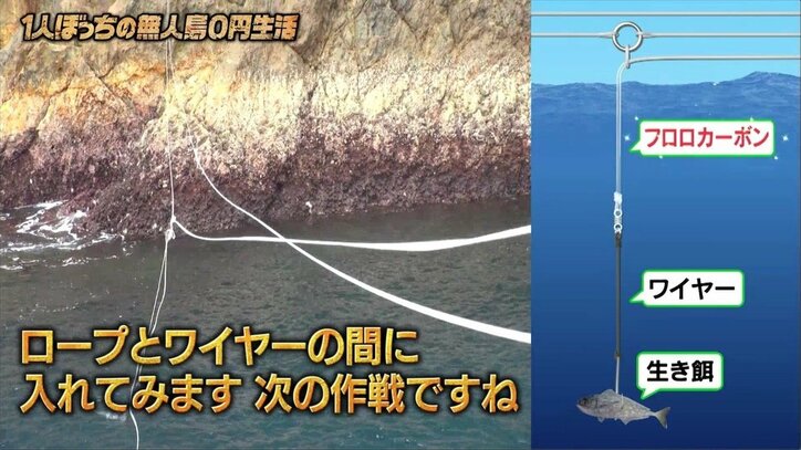 サメが海面の生き餌を捕食する瞬間、ナスDは…「恐怖心よりも神々しさを感じた」