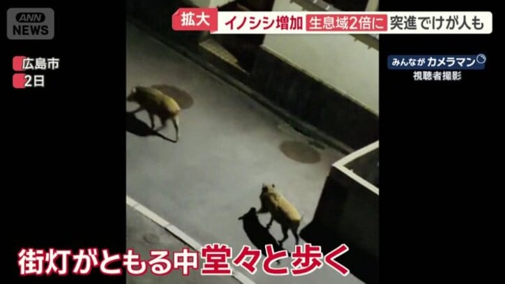 広島市内では街灯がともる中堂々と歩く