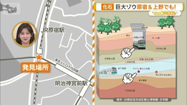 原宿でも発掘