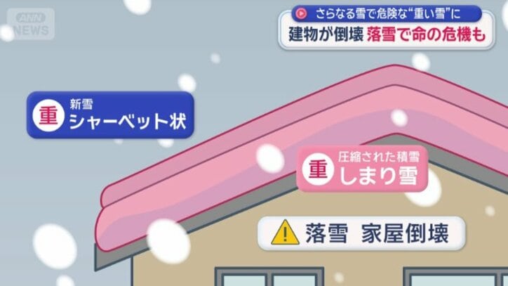 落雪や倒壊のリスクが高まっている
