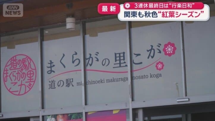 茨城・古河市