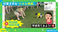 1歳4カ月の“小さな横綱”vs最強の中学生（取組の様子）