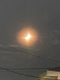 渡辺徹『妻のユニークな感受性』