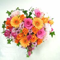 つまみ枝豆『誕生日です!!』