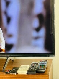 だいたひかる『夫婦喧嘩を減らす為のルール』