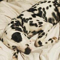 高岡早紀『7ヶ月。』