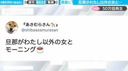 「旦那がわたし以外の女と…」夫が柴犬と仲良くモーニングする姿に「完全に黒」「彼女さんの背中から愛を感じます」の声