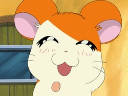 『とっとこハム太郎』誕生日8月6日に“歴代OP・EDの1時間耐久メドレー”＆OVA4作を一挙無料放送