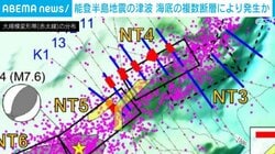 能登半島地震の津波 海底の複数断層により発生か