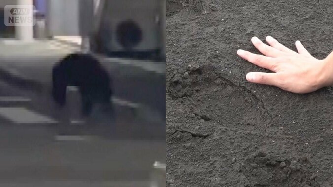 きょうも市街地に　宇都宮でクマ目撃相次ぐ　住宅街に残る“痕跡” 1枚目