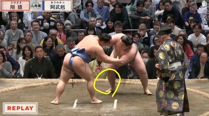 足を狙っている翔猿