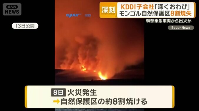 自然保護区のおよそ8割が焼ける