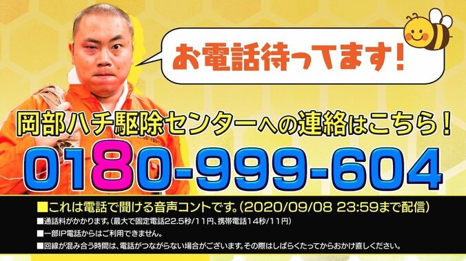 フワちゃん「あたしも電話してみた」 ハナコ・岡部のハチ駆除センターに仕事を依頼？ 1枚目