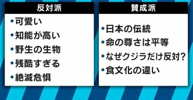 なぜクジラやイルカを食べてはいけないのか？『ザ・コーヴ』の反証映画が映画賞受賞！ 8枚目