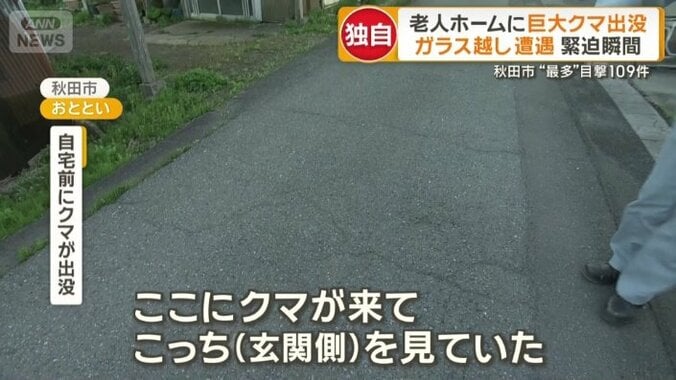 玄関の前にクマが…