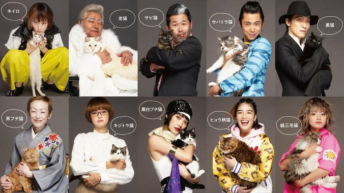 沢尻エリカ主演『猫は抱くもの』“猫の日”に擬人化猫キャスト発表　劇伴は「水曜日のカンパネラ」 1枚目