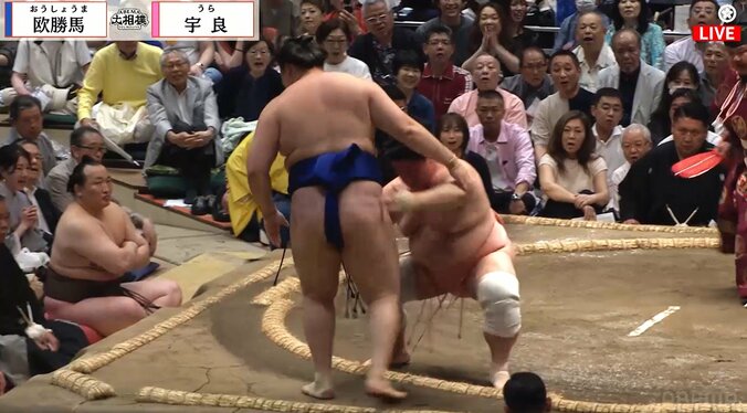 「めっちゃ目立つ」大相撲、溜まり席に存在感“ハンパない”男性著名人の姿 「視線が鋭い」ファン驚き 5枚目