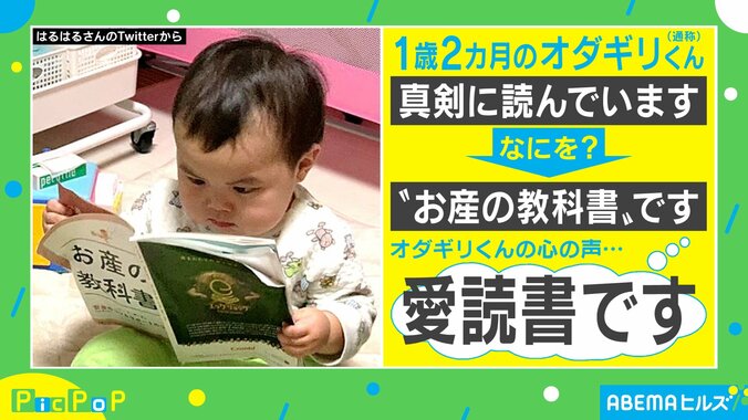 真剣な眼差しの先には…！１歳の息子の愛読書にびっくり 1枚目