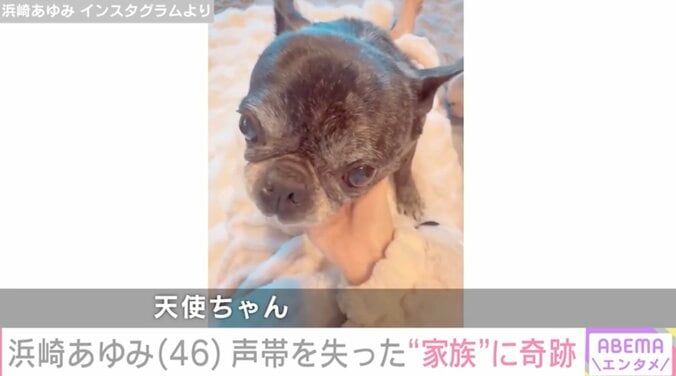 【写真・画像】浜崎あゆみ「こんぶには声帯が無い。鳴かないように切られたから」声帯を失った愛犬の奇跡の瞬間を公開　2枚目
