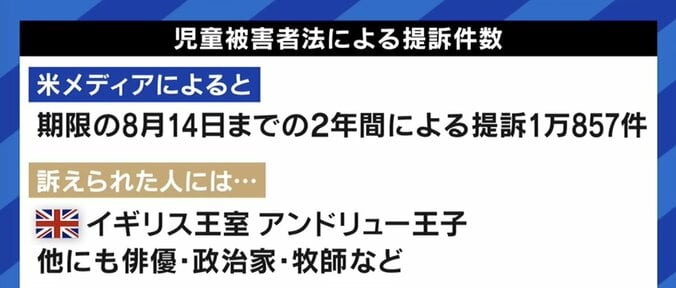 ボブ・ディランさん提訴の背景に、過去の性被害を救済するニューヨーク州の「児童被害者法」、弁護士「日本でも特別法を設けるべき」 3枚目