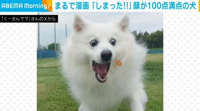 楽くん