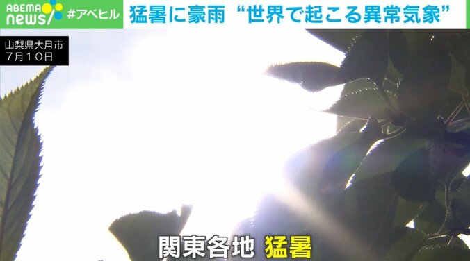 いま、地球で何が起きているのだろうか？ 猛暑に豪雨… 世界各地で異常気象による深刻な被害が続出 1枚目