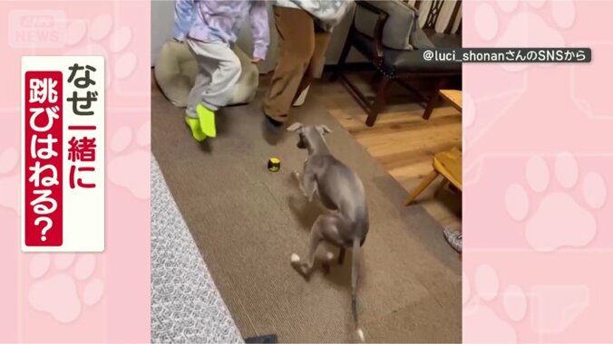 なぜ一緒にジャンプするの？