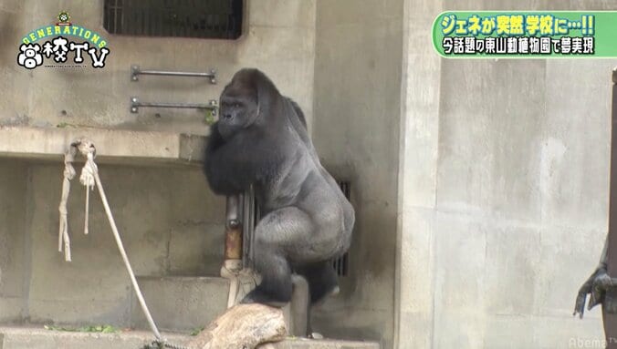 GENERATIONSが動物園でデート　亜嵐&メンディーが動物ものまねを披露（AbemaTV） 2枚目