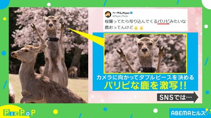 ダブルピースをする鹿の姿