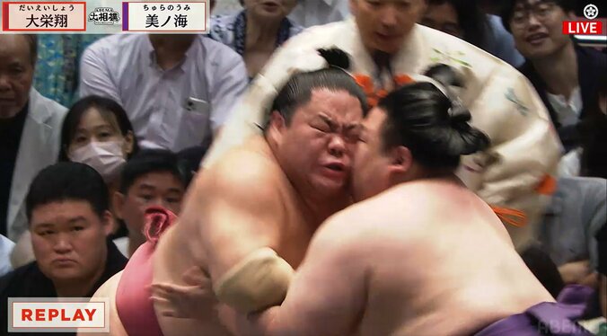 美ノ海の頭が左目付近を直撃