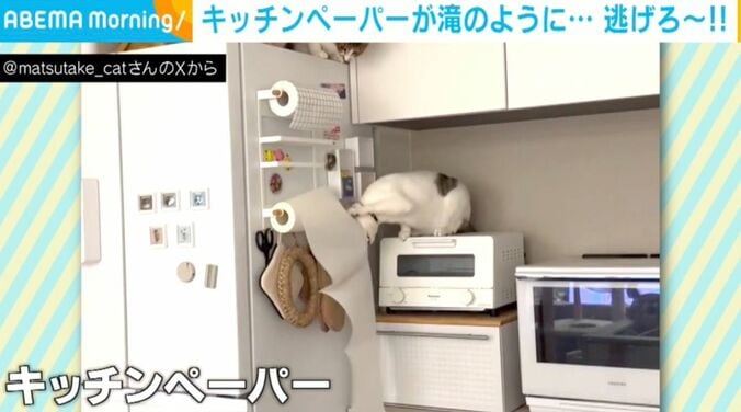 ネコのおでんくん