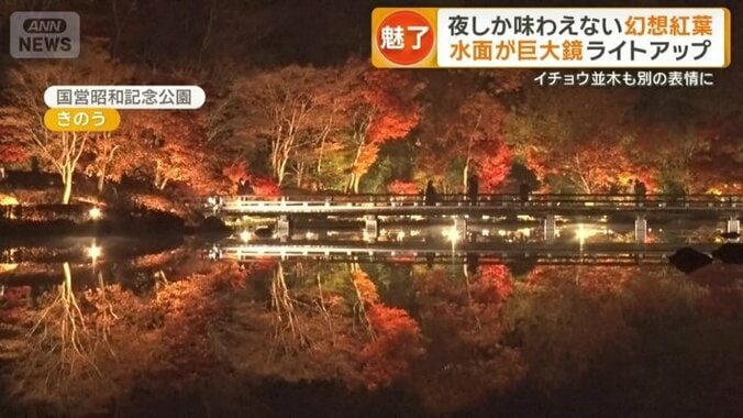 混雑せずに楽しめるモミジ狩り