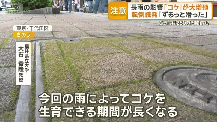 「これまでコケが目立たなかった場所でも」