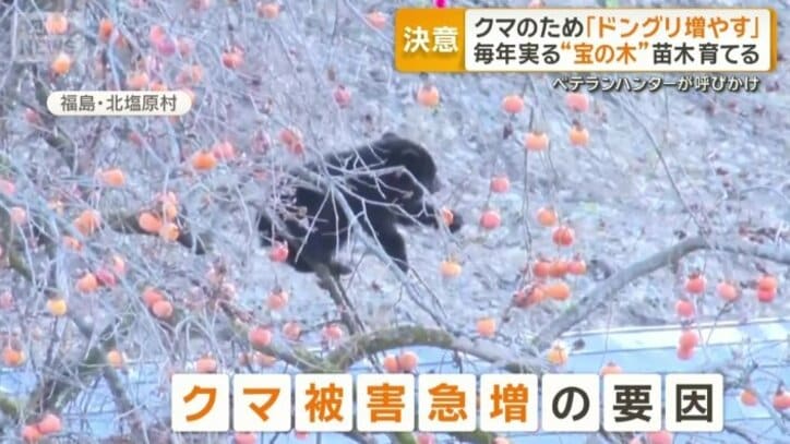 福島・北塩原村で目撃されたクマ